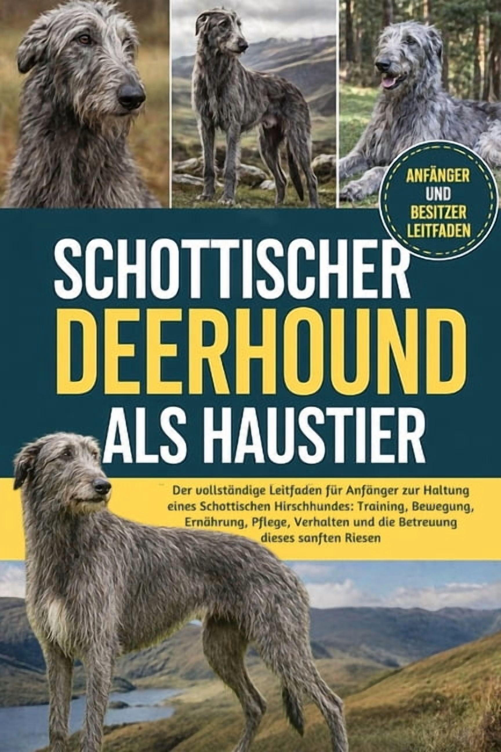 Schottischer Deerhound ALS Haustier: Der vollstÃ¤ndige Leitfaden fÃ¼r AnfÃ¤nger zur Haltung eines Schottischen Hirschhundes, (Paperback)