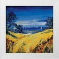 thumbnail image 1 of Schottler, Katharina 12x12 White Modern Wood Framed Museum Art Print Titled - The sea and birds, 1 of 4