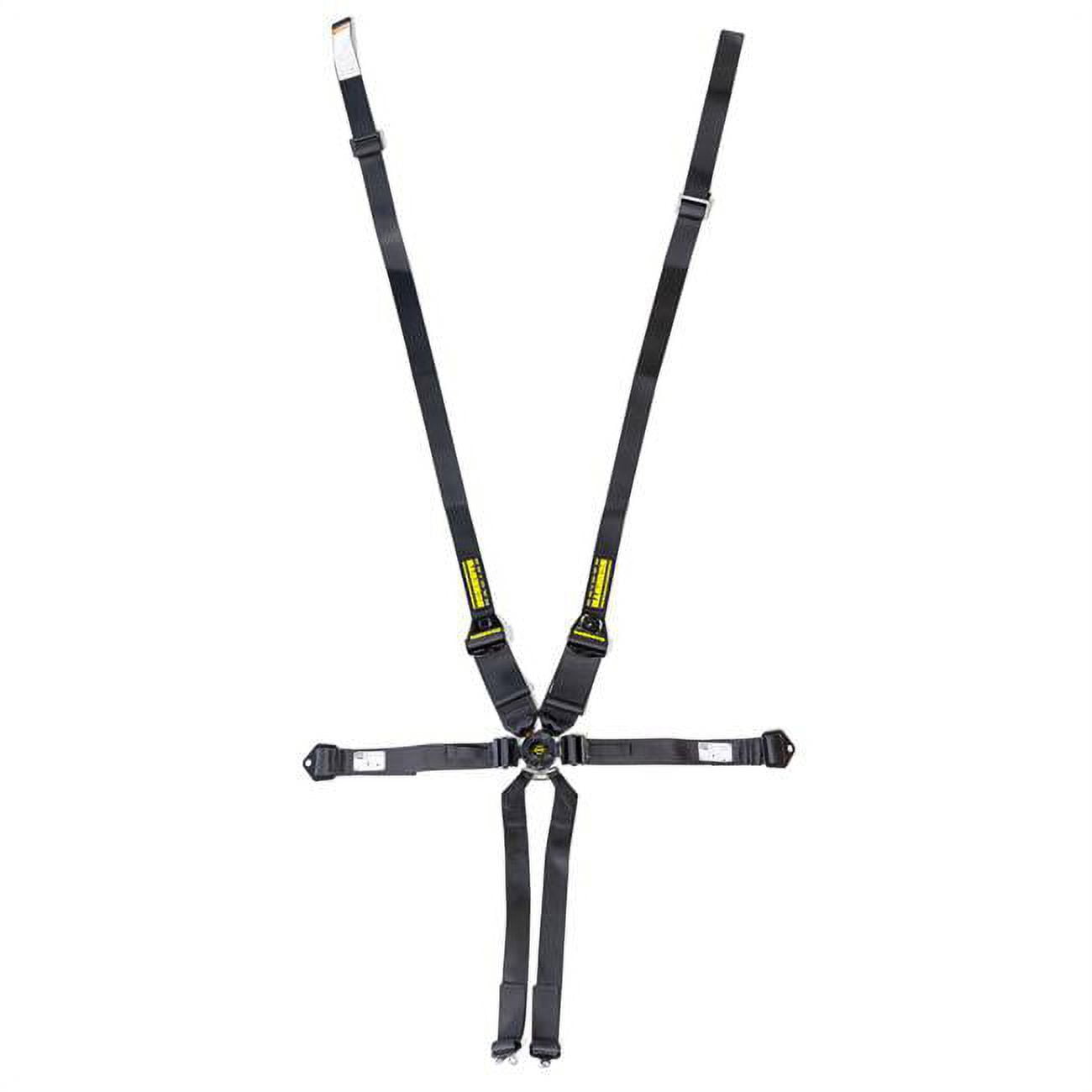 Schroth Profi II 6-Point Camlock Harness SR91143NC Schroth Profi II 6-Point Camlock Harness SR91143NC