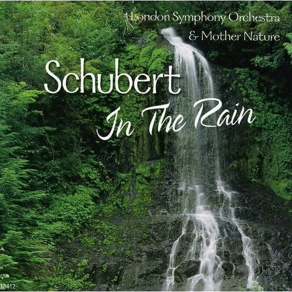 Schubert In The Rain