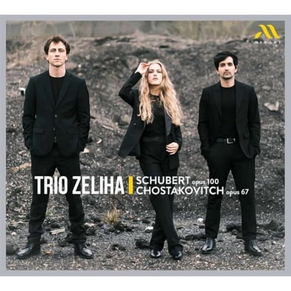 Franz Schubert Schubert, Op. 100/Chostakovitch, Op. 67 (CD) Album