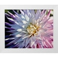 thumbnail image 1 of Schuh, Michael 18x15 White Modern Wood Framed Museum Art Print Titled - Another Dazzling Dahlia, 1 of 4