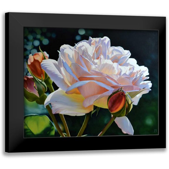 Schuh, Michael 24x20 Black Modern Framed Museum Art Print Titled - Buds