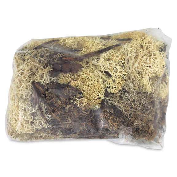 Schulcz Scale Model Foliage - Icelandic Lichen Moss, Natural, 50 g