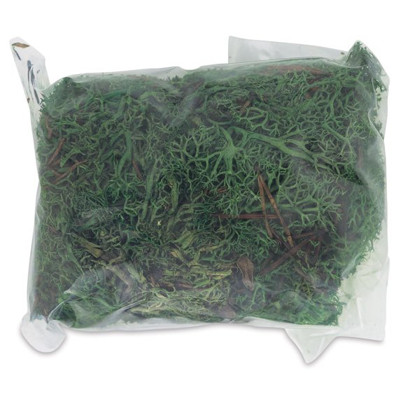 Schulcz Scale Model Foliage - Icelandic Lichen Moss, Olive Green, 50 g