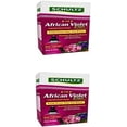 thumbnail image 1 of Schultz SPF44900 African Violet Plus Liquid Plant Food 8-14-9, 4 oz w k, 1 of 1