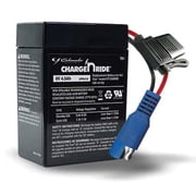Schumacher Electric Charge  n Ride Rechargeable Replacement Battery for Ride-on Toys, Compatible with Kid Trax, 6V, 4.5 Amp Hours, TB1