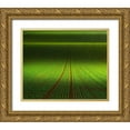 thumbnail image 1 of Schumacher, Nicolas 14x12 Gold Ornate Wood Framed with Double Matting Museum Art Print Titled - November Green, 1 of 4