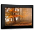 thumbnail image 1 of Schumacher, Nicolas 24x17 Black Modern Framed Museum Art Print Titled - Edge Of The Woods, 1 of 5
