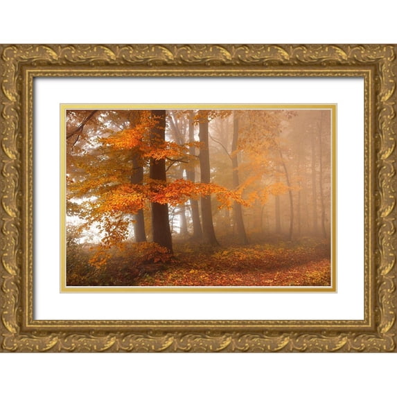 Schumacher, Nicolas 32x23 Gold Ornate Wood Framed with Double Matting Museum Art Print Titled - Edge Of The Woods