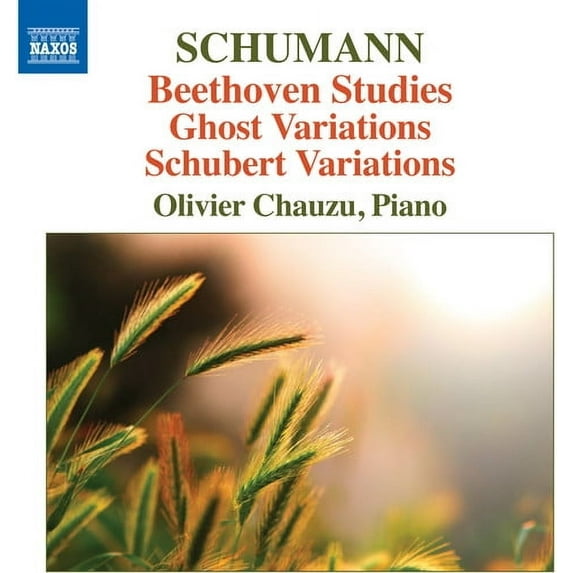 Schumann,Robert / Chauzu,Olivier - Beethoven Studies Ghost Variations & Schubert Variations - Music & Performance - CD