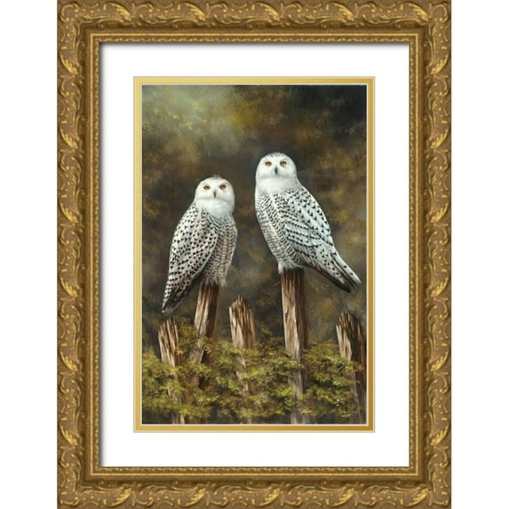 Schutte, Michel 11x14 Gold Ornate Wood Framed with Double Matting Museum Art Print Titled - Two Owls