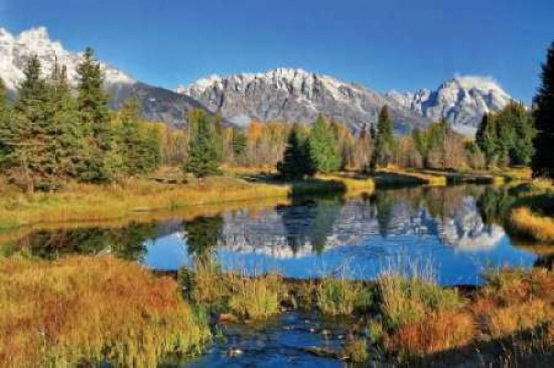 Schwabacher Pond Canvas Art - Larry Malvin (12 x 18)