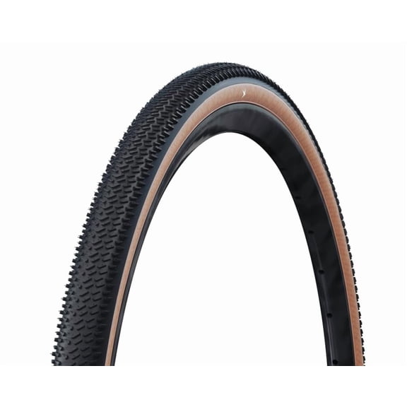 Schwalbe G-One R Pro E25 Tire, 700x55, TLE, Black