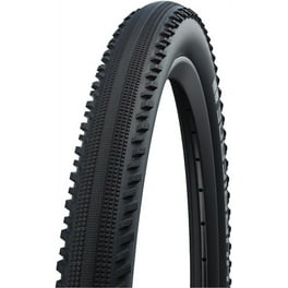 2本 SCHWALBE Ice Spiker Pro 29x2.25 Schwalbe Ice Spiker Pro Tire 29x2.25 Tubeless Folding
