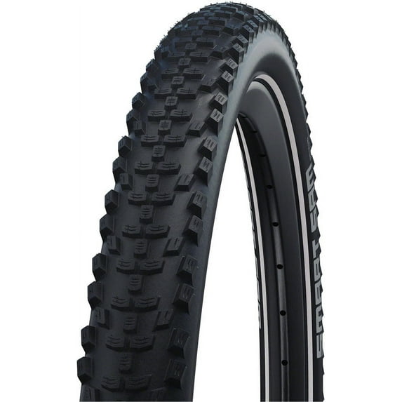 Schwalbe Smart Sam Tire - 29 x 2.1, Clincher, Wire, Black, Performance Line, Addix, E-25