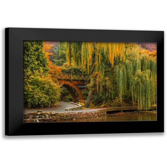 Schwartz, Don 14x11 Black Modern Framed Museum Art Print Titled - Willows Over the Pond