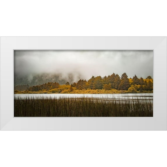 Schwartz, Don 14x9 White Modern Wood Framed Museum Art Print Titled - Lakeside Burst