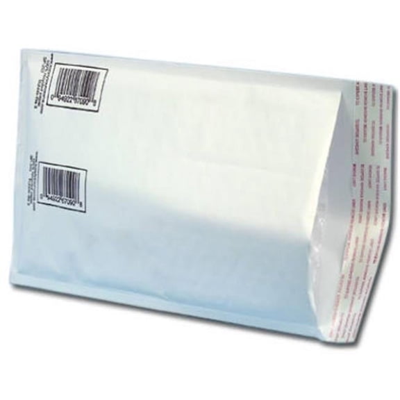 Schwarz Supply SP-202 6 x 10 in. One Bubble Mailer- Pack Of 25