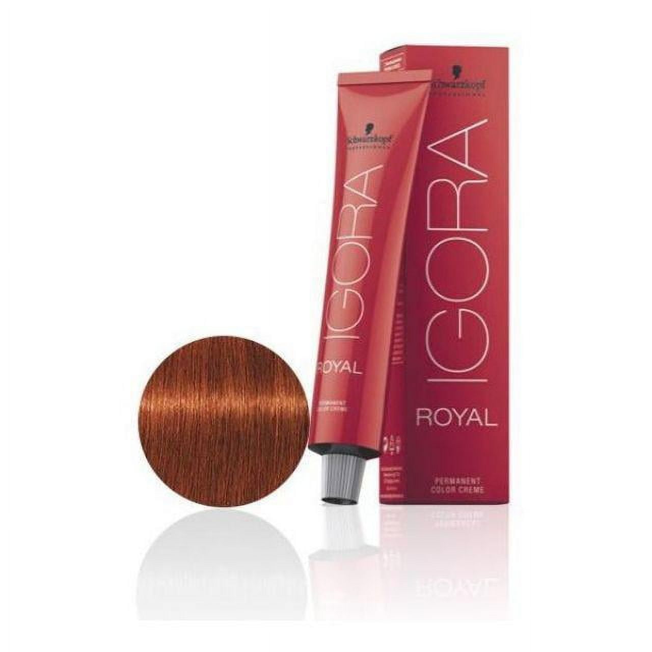  Schwarzkopf - ROYAL IGORA 8-77 02/13 60 ml : Beauty & Personal  Care