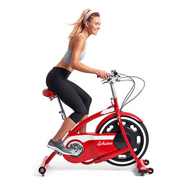 schwinn cruiser exercise bike