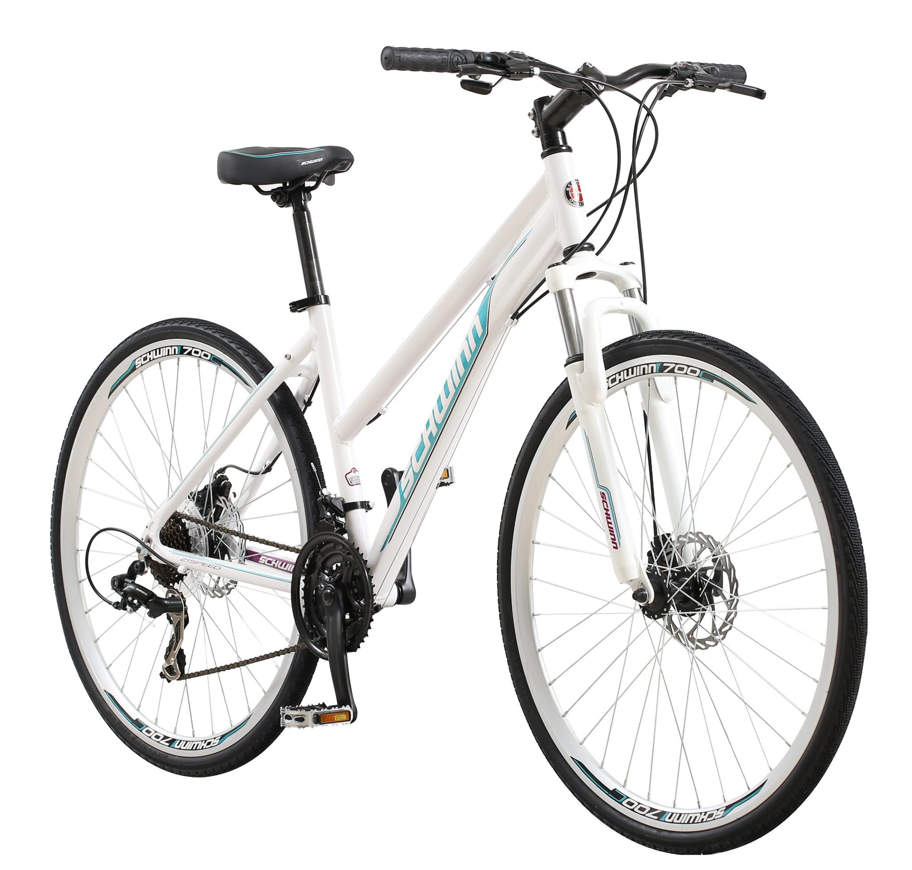 schwinn dual sport