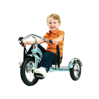 Schwinn Joyrider Double Trailer