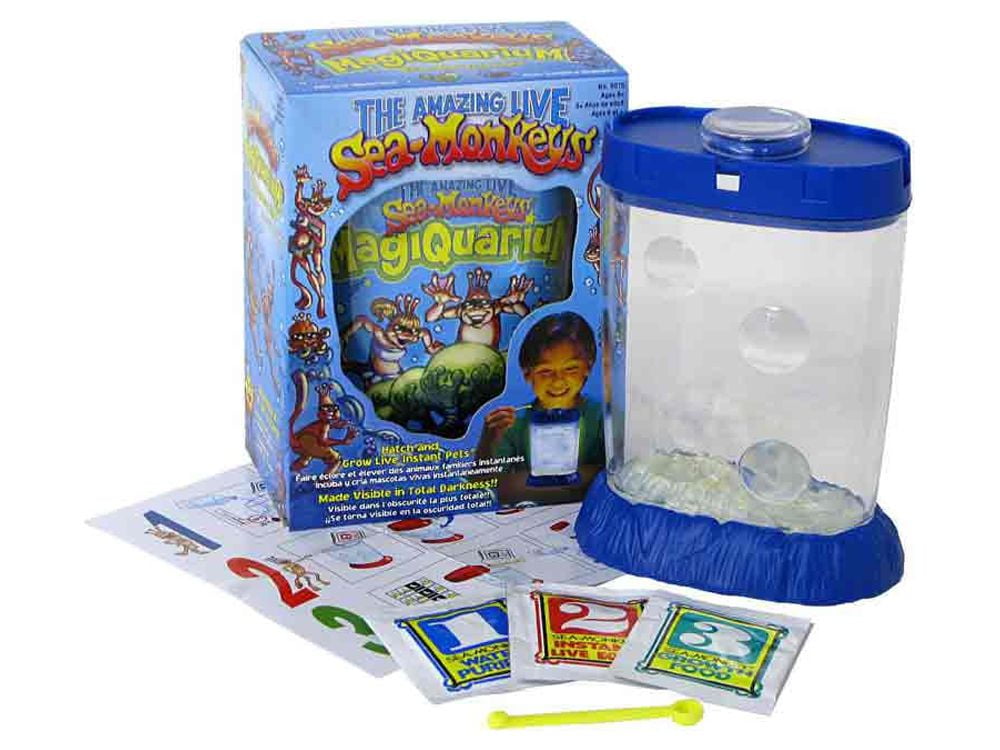 Sea-Monkeys シーモンキー セット Amazon.co.jp: 海の動物園! シーモンキーズ マゼンタセット