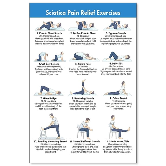 Sciatica Pain Relief Exercises Sports Posters Lower Back & Nerve Stretch Routine Sciatic Nerve Mobility Chart Wall Art Home Hamstring Workouts Print For Living Room Gym poster