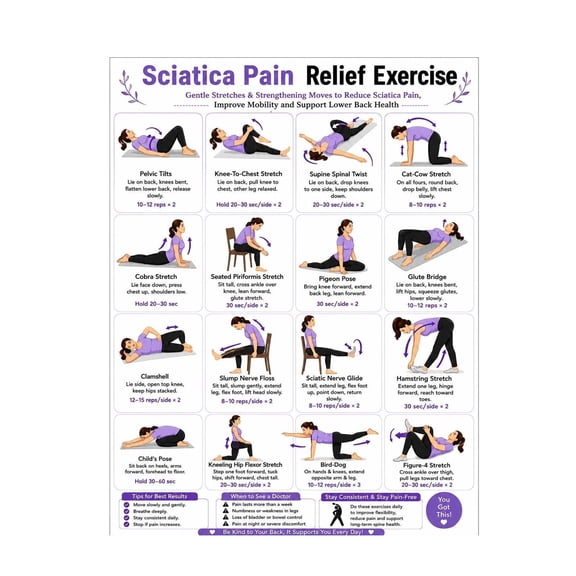 Sciatica Stretch Exercise Chart Poster - Lower Back Pain Relief Wall Art