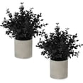 thumbnail image 1 of Scidweet Artificial Eucalyptus Plants Indoor, 2pcs Small Fake Faux Potted Plants for Home Desk Room Coffee Table Office Halloween Decor, Black, 1 of 7