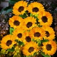 thumbnail image 1 of Scidweet 3 Pack with 12 Sunflower Solar Lights, Waterproof Decorative Lights for Outdoor Garden Patio Backyard Decor, 1 of 6