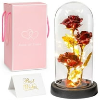 Scidweet Artificial Rose Flower Gifts, Fake Flowers Preserved Rose in Glass Dome with Light Valentines Mothers Anniversary Day Christmas Decorations for Mom Wife and Girlfriend Gifts