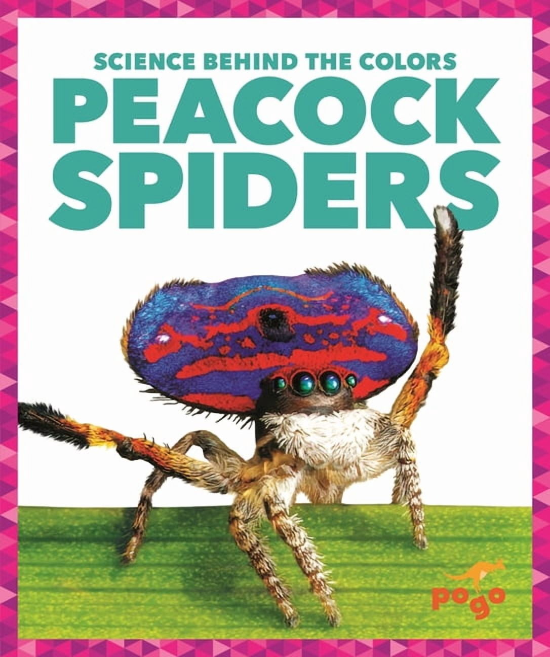 Science Behind the Colors Peacock Spiders, (Paperback)