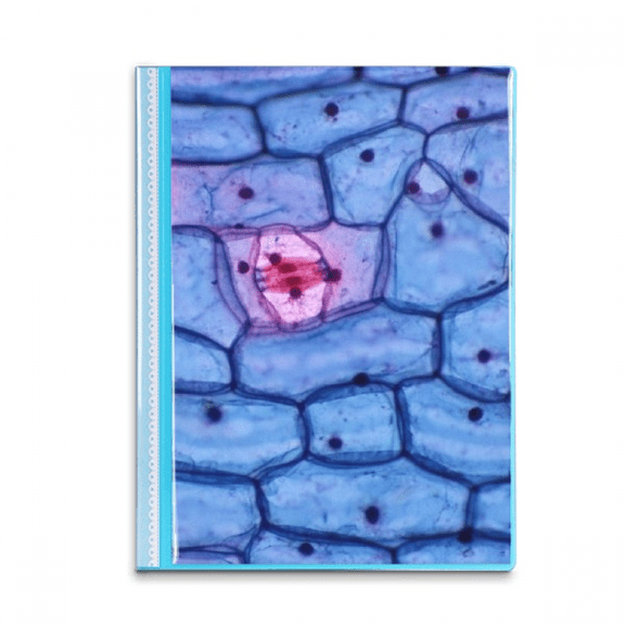 Science Bioplast Microcosc Pattern Book Sheet Protectors Portfolio Binder Folder