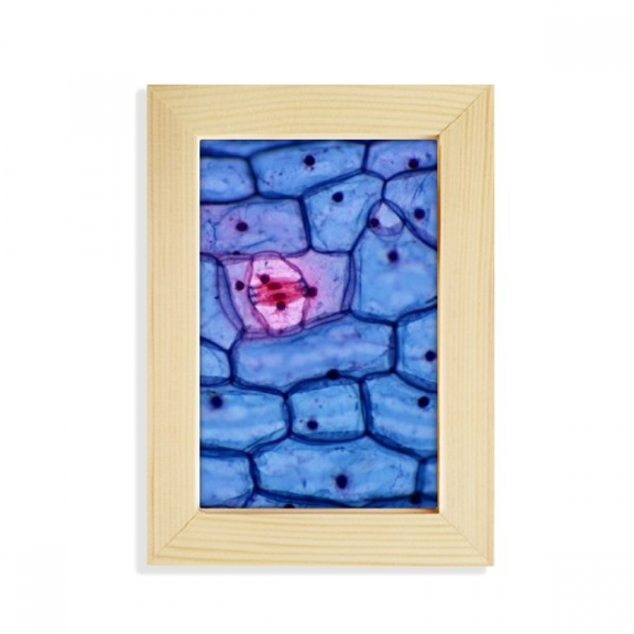 Science Bioplast Microcosc Pattern Desktop Display Photo Frame Picture Art Painting 5x7 inch