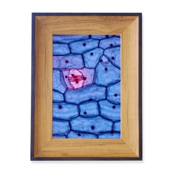 Science Bioplast Microcosc Pattern Photo Frame Exhibition Display Art Desktop Painting