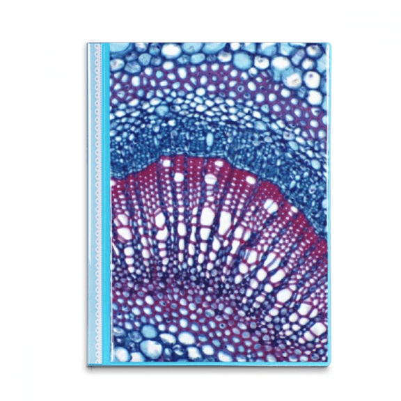 Science Cell Microcosc Pattern Book Sheet Protectors Portfolio Binder Folder