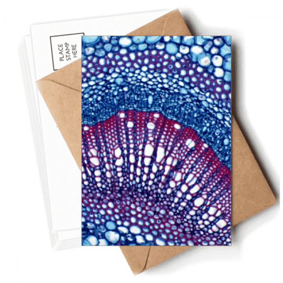 Science Cell Microcosc Pattern Postcards Envelopes Blank Note Cards Mailing