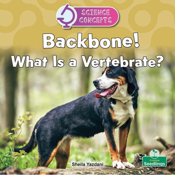 Science Concepts Backbone! What Is a Vertebrate?, (Paperback)