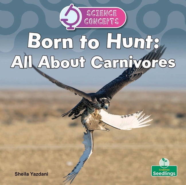 Science Concepts Born to Hunt: All about Carnivores, (Hardcover)