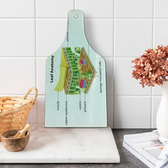Science Cutting Board, Anatomy of a Leaf Names of the Microscopic Parts Spongy Stoma Epidermis Form, Decorative Tempered Glass Cutting and Serving Board, Wine Bottle Shape, Multicolor, by Ambesonne