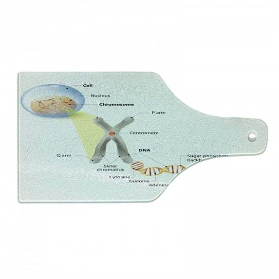 Science Cutting Board, Cell Chromosome DNA Gene Genome Study Double Helix Evolution Science Research, Decorative Tempered Glass Cutting and Serving Board, Wine Bottle Shape, Multicolor, by Ambesonne