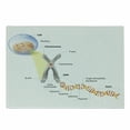 thumbnail image 1 of Science Cutting Board, Cell Chromosome DNA Gene Genome Study Double Helix Evolution Science Research, Decorative Tempered Glass Cutting and Serving Board, Small Size, Multicolor, by Ambesonne, 1 of 1