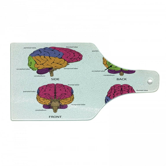 Science Cutting Board, Human Brain from All Sides with Sections in Different Colors Explanatory Texts, Decorative Tempered Glass Cutting and Serving Board, Wine Bottle Shape, Multicolor, by Ambesonne