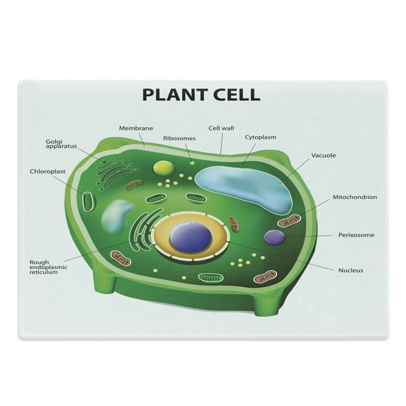 Science Cutting Board, Plant Cell Biology Research Botany Anatomy Structure Organic Life Nature, Decorative Tempered Glass Cutting and Serving Board, Large Size, Green Pale Blue, by Ambesonne