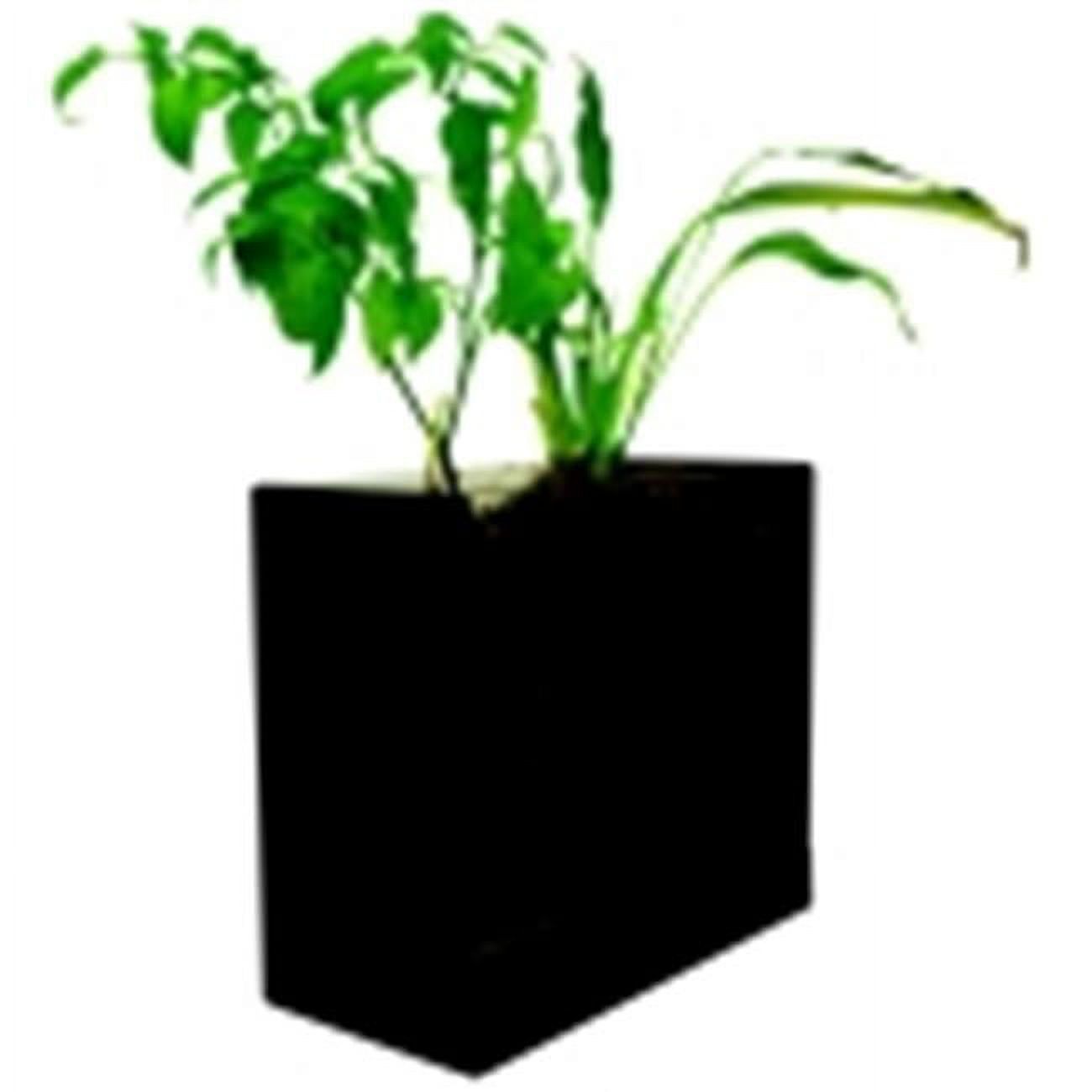 Glass Rootbox Science First Rootbox For Green Box Indoor Garden - Walmart.com