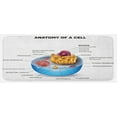 thumbnail image 1 of Science Kitchen Mat, Cell Anatomy Microscopic Components Colorful Vivid Microbiology, Plush Decorative Kitchen Mat with Non Slip Backing, 47" X 19", Pale Blue Purple Apricot, by Ambesonne, 1 of 1