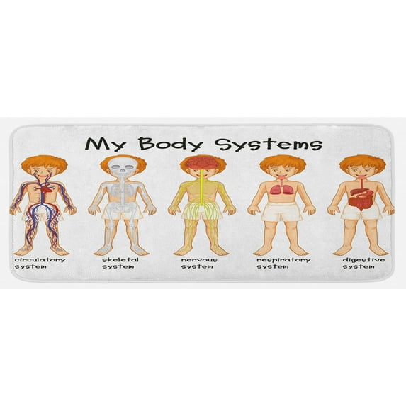 Science Kitchen Mat, Different Systems in Human Nervous Skeletal Digestive Body Anatomy Young, Plush Decorative Kitchen Mat with Non Slip Backing, 47" X 19", Multicolor, by Ambesonne