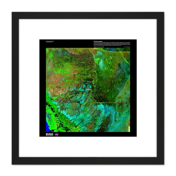 Science Map Satellite Florida Everglades Park Replica 8X8 Inch Square Wooden Framed Wall Art Print Picture with Mount